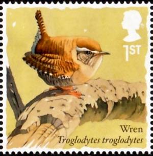 Colnect-4271-518-Eurasian-Wren-Troglodytes-troglodytes.jpg