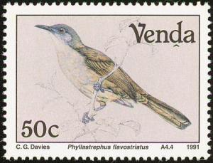 Colnect-751-654-Yellow-streaked-Greenbul-Phyllastrephus-flavostriatus.jpg