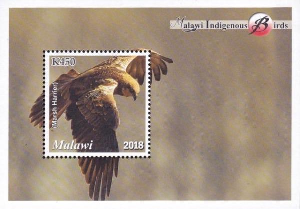 Colnect-5029-329-Indigenous-Birds-of-Malawi.jpg