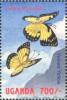 Colnect-2631-402-Yellow-Splendour-Colotis-protomedia.jpg