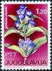 Colnect-1617-612-Gentiana-Cruciata.jpg