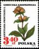 Colnect-2037-165-Gentiana-punctata.jpg