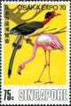 Colnect-4320-248-American-Flamingo-Phoenicopterus-ruber-Helmeted-Hornbill-.jpg