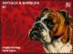 Colnect-4596-055-English-Bulldog.jpg