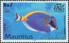 Colnect-1067-094-Powderblue-Surgeonfish-Acanthurus-leucosternon.jpg