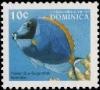 Colnect-3215-453-Powderblue-Surgeonfish-Acanthurus-leucosternon.jpg