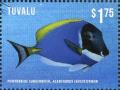 Colnect-3146-423-Powderblue-Surgeonfish-Acanthurus-leucosternon.jpg