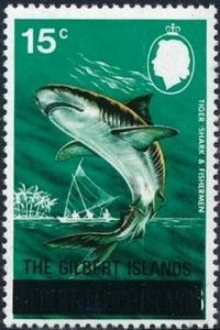 Colnect-5117-035-Tiger-Shark-Galeocerdo-cuvierdi---Overprinted.jpg