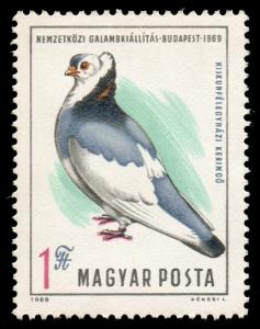 2016_Pigeon_100.jpg