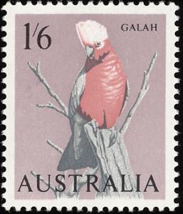 Colnect-604-068-Galah-Eolophus-roseicapilla.jpg