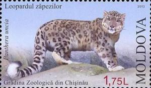 Colnect-1602-814-Snow-Leopard-Panthera-uncia.jpg