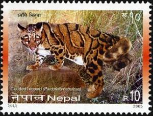 Colnect-550-653-Clouded-Leopard-Neofelis-nebulosa.jpg