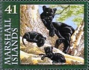 Colnect-6004-531-Black-Leopard-Panthera-pardus.jpg