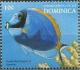 Colnect-3206-722-Powderblue-Surgeonfish-Acanthurus-leucosternon.jpg