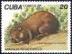 Colnect-671-174-Hutia-Geocapromys-colombianus.jpg