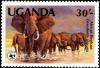 Colnect-1700-200-African-Elephant-Loxodonta-africana.jpg