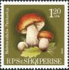 Colnect-2025-619-Cep-Boletus-edulis.jpg