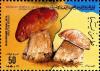 Colnect-2049-592-Cep-Boletus-edulis.jpg