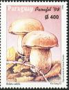 Colnect-2305-618-Cep-Boletus-edulis.jpg