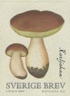 Colnect-2981-051-Cep-Boletus-edulis.jpg