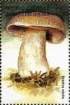 Colnect-3045-405-Cep-Boletus-edulis.jpg