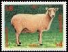 Colnect-3221-019-Sheep-Ovis-ammon-aries.jpg