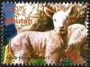 Colnect-3395-706-Sheep-Ovis-ammon-aries.jpg