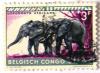 Colnect-553-786-African-Elephant-Loxodonta-africana.jpg