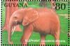 Colnect-558-428-African-Elephant-Loxodonta-africana.jpg