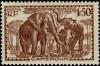 Colnect-787-784-African-Elephant-Loxodonta-africana.jpg