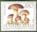 Colnect-1432-495-Cep-Boletus-edulis.jpg