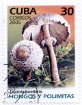 Colnect-2400-263-Lepiota-puellaris.jpg