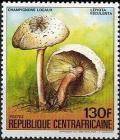 Colnect-2896-692-Lepiota-esculenta.jpg