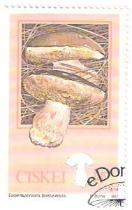 Colnect-2797-718-Cep-Boletus-edulis.jpg