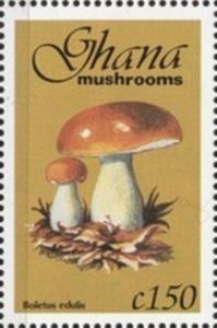 Colnect-2389-615-Cep-Boletus-edulis.jpg