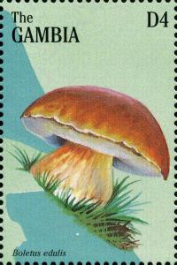 Colnect-3071-763-Cep-Boletus-edulis.jpg