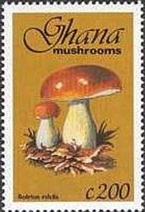 Colnect-2389-600-Cep-Boletus-edulis.jpg