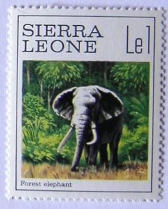 Colnect-542-709-African-Elephant-Loxodonta-africana.jpg