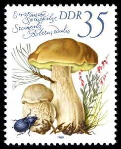 Colnect-1981-045-Cep-Boletus-edulis.jpg