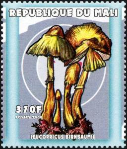 Colnect-2606-961-Lemon-yellow-Lepiota-Leucopricus-birnbaumii.jpg