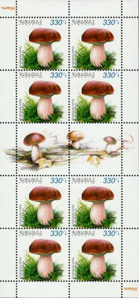 Colnect-5023-327-Cep-Boletus-edulis.jpg