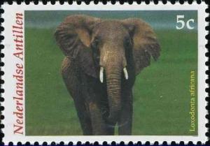 Colnect-1018-836-African-Elephant-Loxodonta-africana.jpg