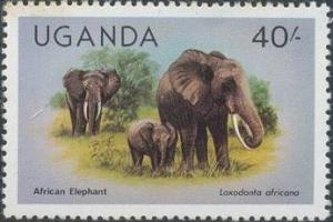 Colnect-1117-957-African-Elephant-Loxodontha-africana.jpg