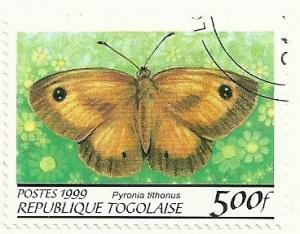 Colnect-1398-979-Gatekeeper-Pyronia-lithonus.jpg