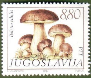 Colnect-1432-495-Cep-Boletus-edulis.jpg