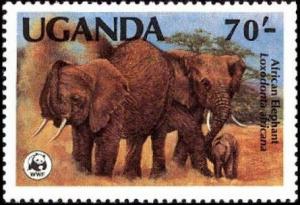 Colnect-1700-201-African-Elephant-Loxodonta-africana.jpg