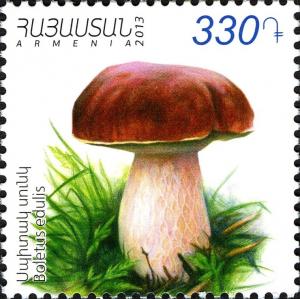 Colnect-2063-271-Cep-Boletus-edulis.jpg