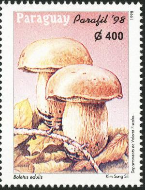 Colnect-2305-618-Cep-Boletus-edulis.jpg