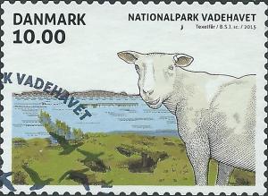 Colnect-2751-656-Texel-Sheep-Ovis-orientalis-aries.jpg