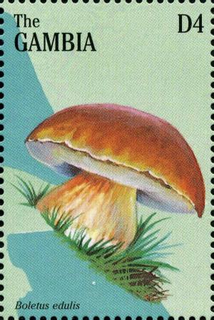 Colnect-3071-763-Cep-Boletus-edulis.jpg